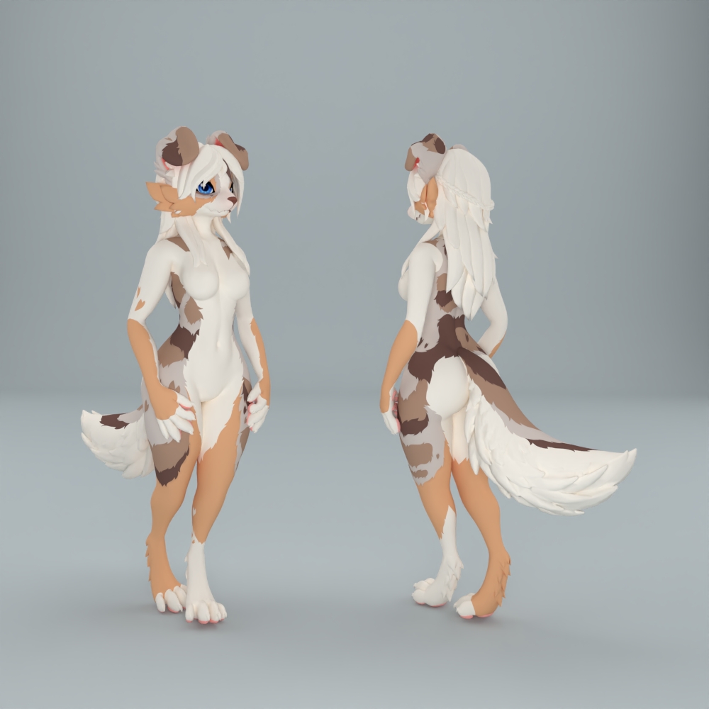 Senip - Nova